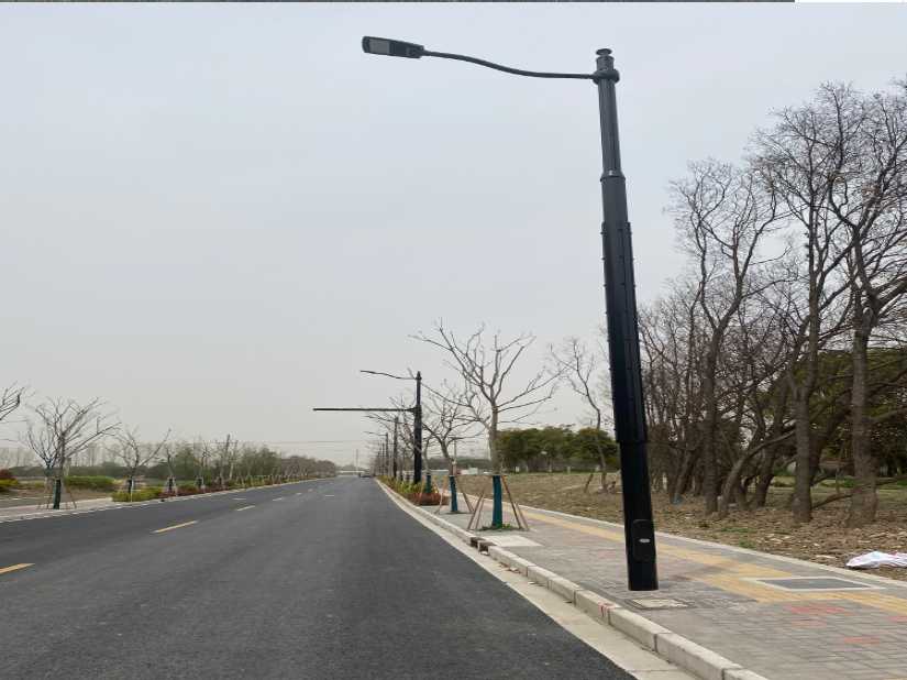 高明区上海综合杆 太阳能路灯工程